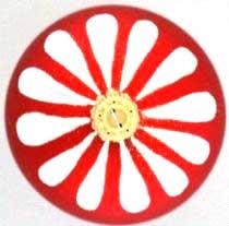 shar-s-lepestkami-sverkhu